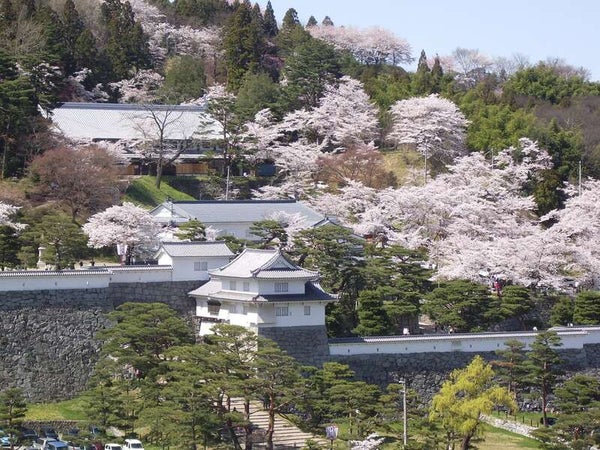 【富山・新高岡駅発】 《日本100名城めぐり》 桜舞う! 日本100名城めぐり 南東北編 ~戊辰戦争ゆかりの地~(3日間)3